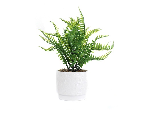 [33668128] PLANTA CON MACETA CERAMICA N7 11X28 CR7