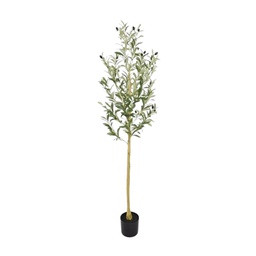 [33668226] PLANTA OLIVO 150 CM PL178