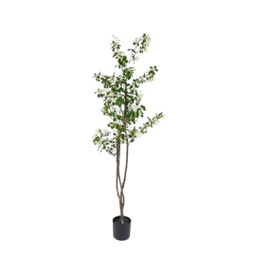 [33668229] PLANTA 160 CM PL216