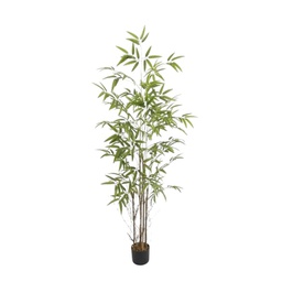 [33668230] PLANTA BAMBOO 180 CM PL232