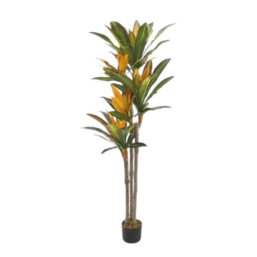 [33668231] PLANTA 145 CM PL239