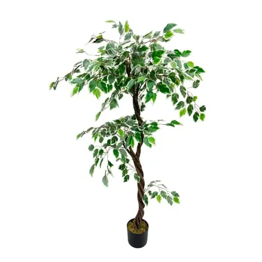 [33668232] PLANTA 150 CM PL240