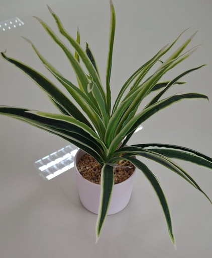 [33668139] PLANTA 30CM FA165
