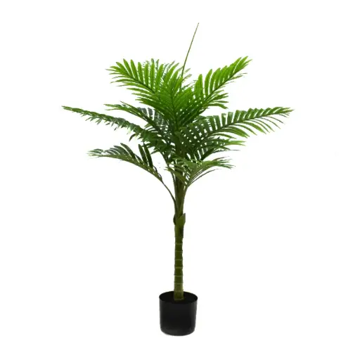 [33668142] PLANTA CATECHU 110CM FA209