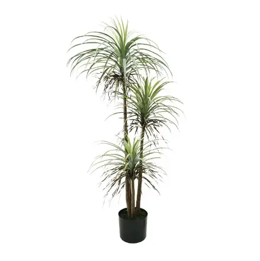 [33668144] PLANTA PALMERA 182CM FA226