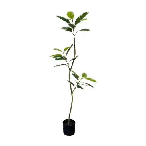 [33668149] PLANTA 120CM PL210