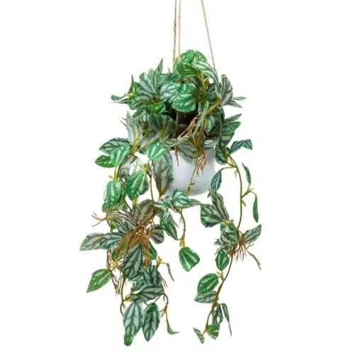 [33668150] PLANTA COLGANTE 45CM PL221