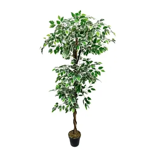 [33668076] PLANTA 180 CM PL244