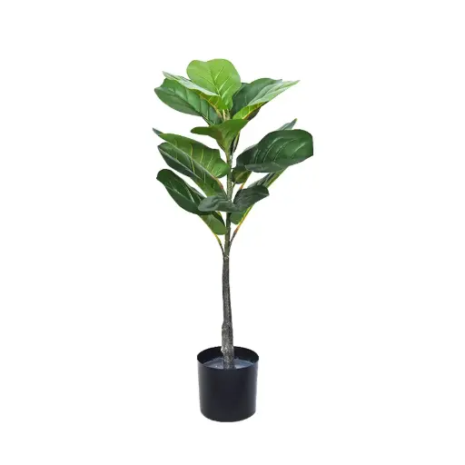 [33668104] PLANTA FICUS 70CM FA141